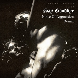 Say Goodbye (Noise of Aggression Remix) [Noise of Aggression Remix]