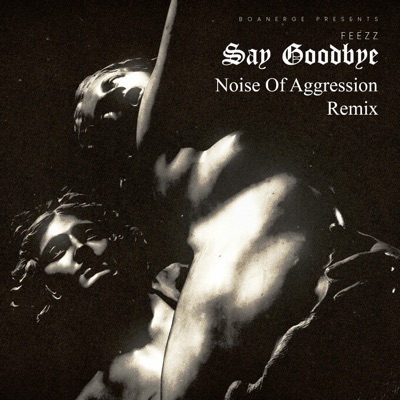 Say Goodbye (Noise of Aggression Remix) - Single