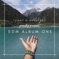 Happy Summer Song Vol.1 - Single - Tommy G Graboski