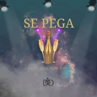 Se Pega (feat. Flow Zury) - Single - ANGEL DG