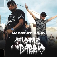 Caiganle a Mi Barrio (feat. Rojo) - Single - Had3s