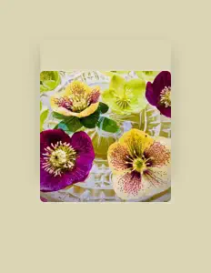 Luister naar PanDeMsic, bekijk muziekvideo's, lees de bio, bekijk de tourdata, en meer!