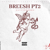 Breesh Pt2 - Single - Zay Fuego