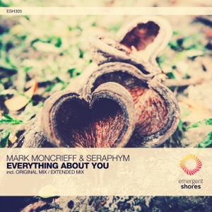 Everything About You - Single