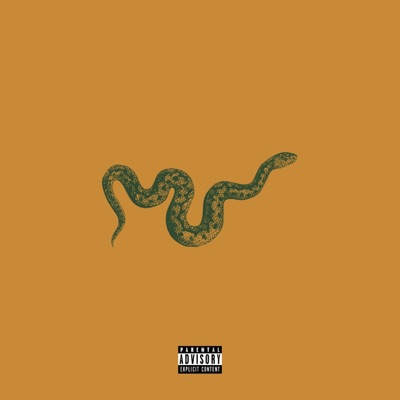 Rattle Snake - Single