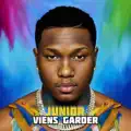 Viens Garder
