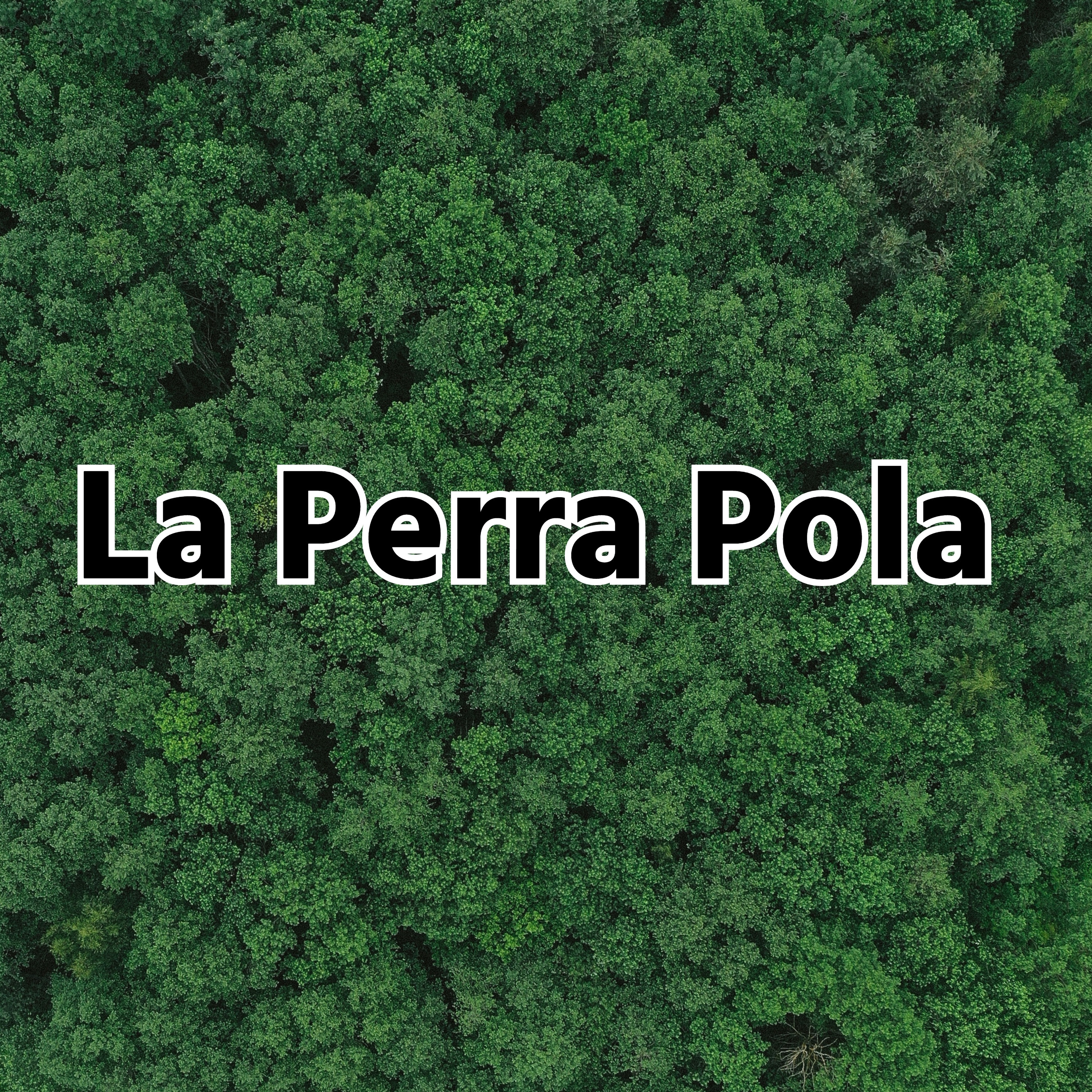 La Perra Pola - Single