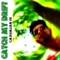 Catch My Drift - CasualDave lyrics