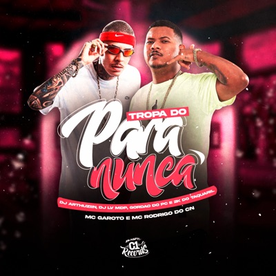 Tropa do para Nunca (feat. Dj Lv Mdp & GORDÃO DO PC) - Single