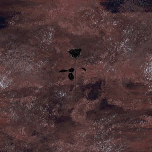 The Mysteries - Single