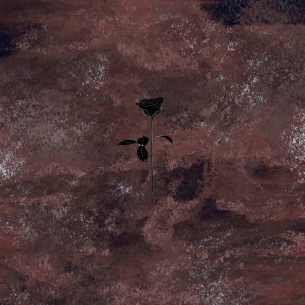 The Mysteries - Single