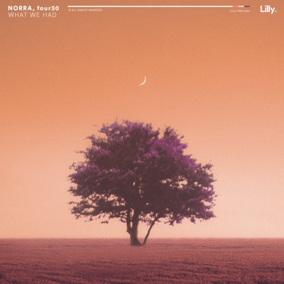 What We Had - Single