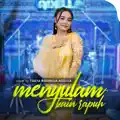 Menyulam Kain Rapuh