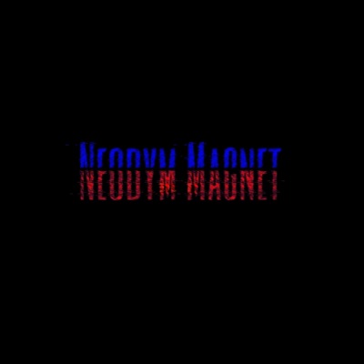 Neodym Magnet - Single