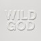 Wild God artwork