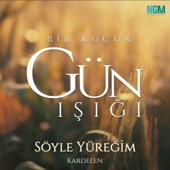 Söyle Yüreğim artwork