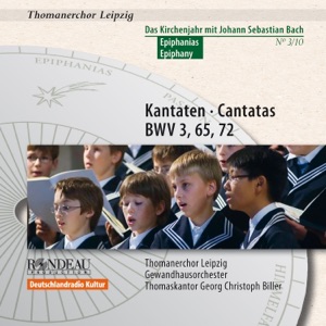 Johann Sebastian Bach: Cantatas / Kantaten BWV 3, BWV 65, BWV 72 (Das Kirchenjahr mit Bach: Epiphanias / The Liturgical Year with Bach: Epiphany Vol. 3)