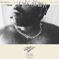 Slide Down - Single - Zeus Stunna