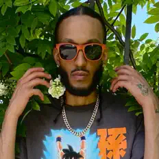 Poslechněte si interpreta Magnificent Fox, sledujte hudební videa, přečtěte si životopis, podívejte se na data turné a další informace.