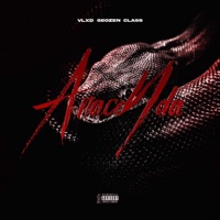 Anaconda (feat. GeoZen & Class) - Single - Vlxd