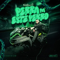 Perra pa este perro - Single - Malik J