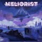 Wishful Thinking - Meliorist lyrics