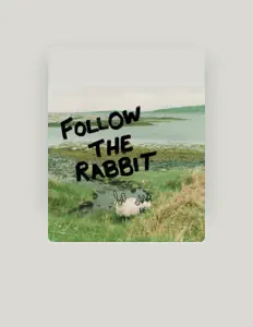 收听 Follow The Rabbit、观看音乐视频、阅读小传、查看巡演日期等 ！