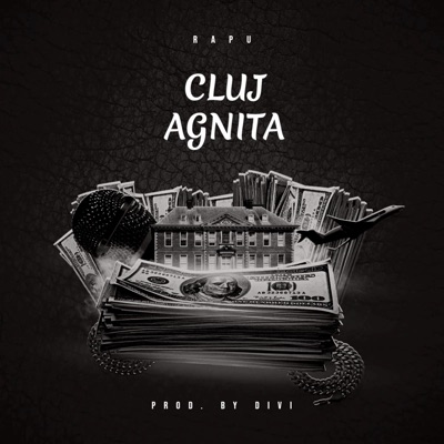 Cluj/Agnita (feat. Divi) - Single