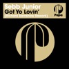 Got Yo Lovin' (Richard Earnshaw Rework) - Single