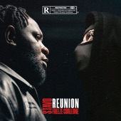 Réunion (feat. Freeze Corleone) artwork