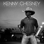 Kenny Chesney - Setting the World On Fire (with P!nk)