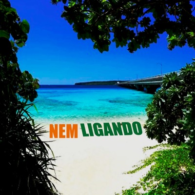 Nem Ligando (feat. mcpl) - Single