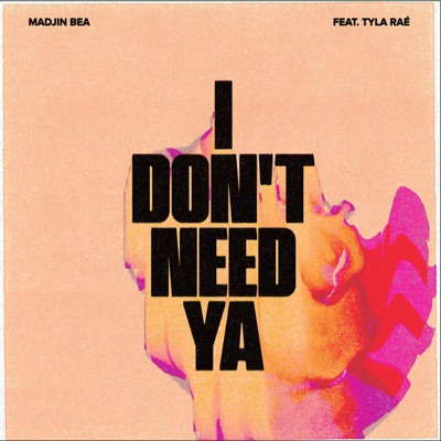 I Don't Need Ya (feat. Tyla Raé) - Single