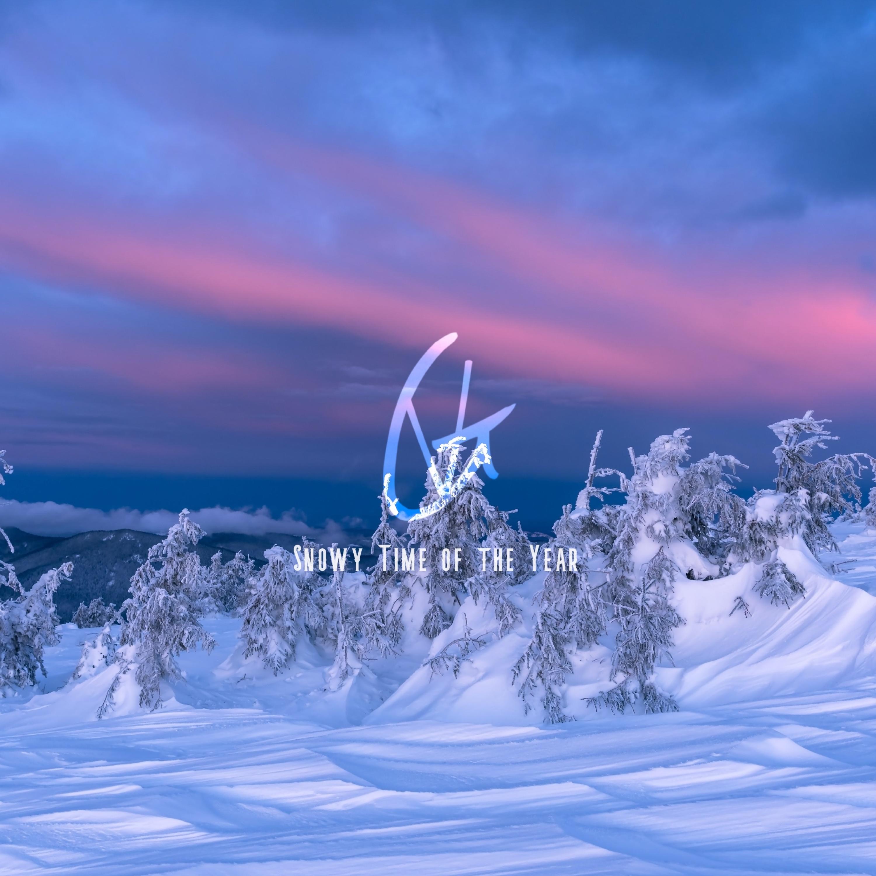 Snowy Time of the Year - Single