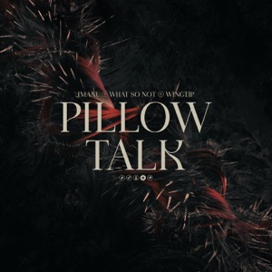 Pillow Talk (feat. What So Not)