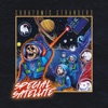 Special Satellite