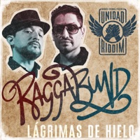 Lágrimas de Hielo (Unidad Riddim) - Single - Raggabund