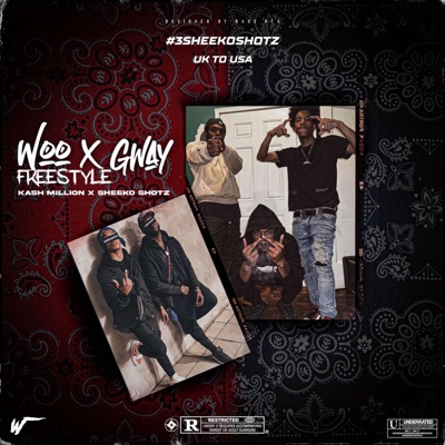WOO X GWAY FREESTYLE (feat. Sheeko Shotz) - Single