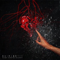 Наши мосты плачут (feat. AKVA) - Single - AnimaArtis