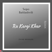 Ra Kargi Khar (feat. სოფო ბათილაშვილი) [Zviad Bekauri Remix] artwork