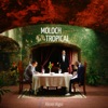 Moloch Tropical (feat. Misha Berkut) - Single