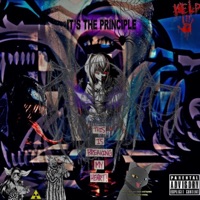 It's the Principal - Single - Stonenoir