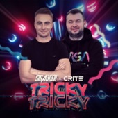 Tricky Tricky artwork