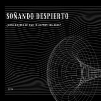 Soñando Despierto - Single - Zeta