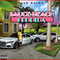 Sauce beach florida (feat. Sauce Walka, 44 Mike deezy & Voochie P) - Single - Roj & Twinkie