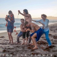 Por Una Flower (feat. YesAndresYes) - Single - Matador Andrew