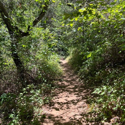 Earth World Beats - EP