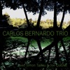 Simon Tailleu Berceuse (with Joe Quitzke & Simon Tailleu) Trio (with Simon Tailleu & Joe Quitzke)