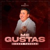 Me Gustas - Single