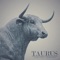 Taurus - Eddie Berman lyrics